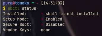 sbctl status output
